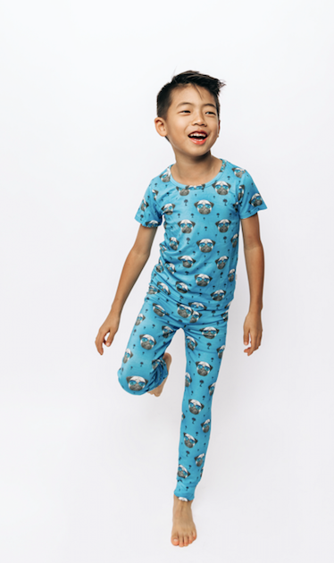 Boys 2024 pug pajamas